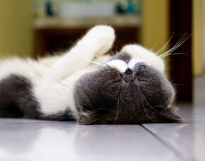 Feeling discontented?