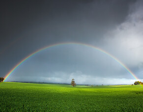 Seeing God In Creation